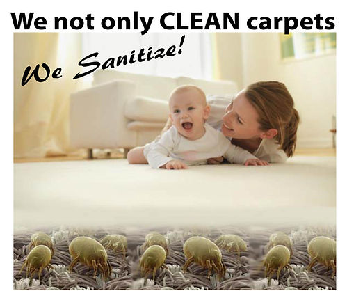 carpet cleaning manchester