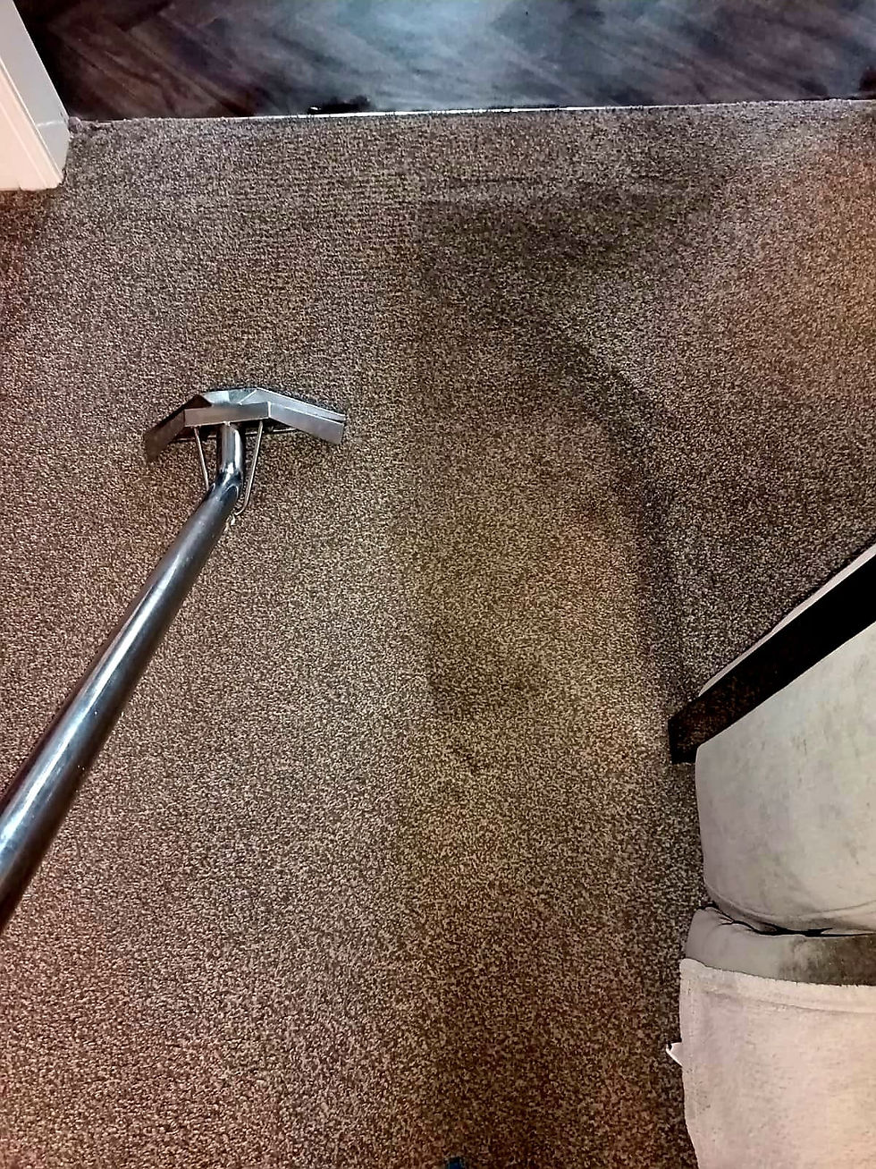 Close-up view of a steam cleaner nozzle on a patterned carpet