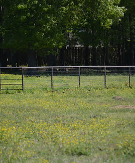 image_6483441 (36).JPG