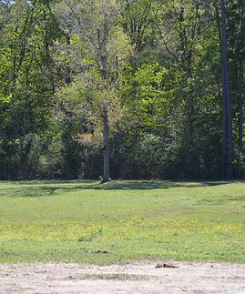 image_6483441 (35).JPG