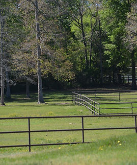 image_6483441 (34).JPG