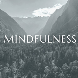 Freebird Meditations_edited.jpg