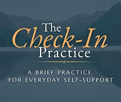 Freebird Meditations The Check-In Practice.jpg