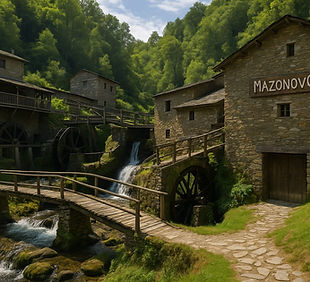 WhatsApp Image 2025-07-13 at 14.33.02.jpeg