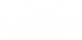 ILLU 2 WIT.png