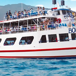 Imagenes representativas de las excursiones