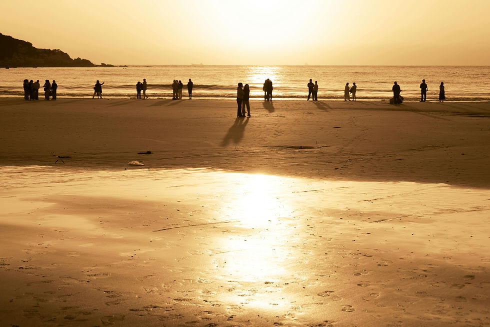 silhouetted figures on sandy beach at sunset