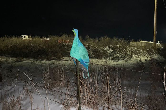 the Green Turkey (1).jpeg