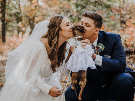 Dog Wedding Dress | Alpine Park and Gardens | Columbia, Missouri