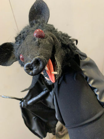 Summer the Bat (1).jpeg