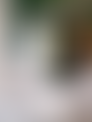 Projekt zielonej łazienki