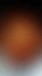 przepis na kaszę w sosie pomidorowym z tahini