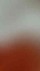 przepis na kaszę w sosie pomidorowym z tahini