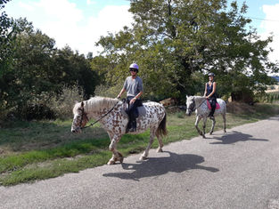 les chevaux du sourire balade à cheval.jpg