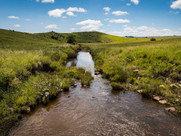 ELANDSBERG DECLARATION A WIN FOR WATER SECURITY AND BIODIVERSITY