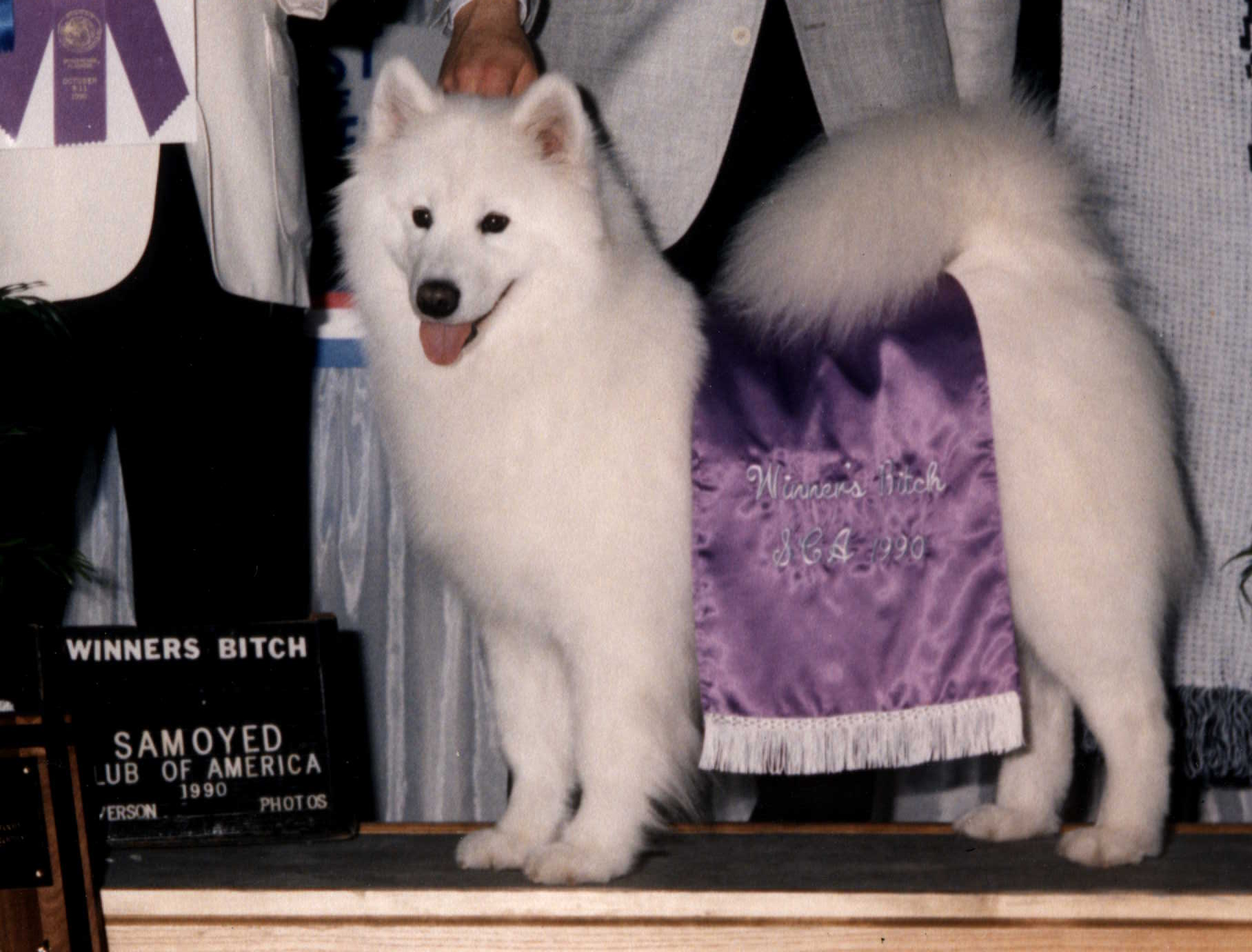 Ch Nordic's Kismet O'Cynosura