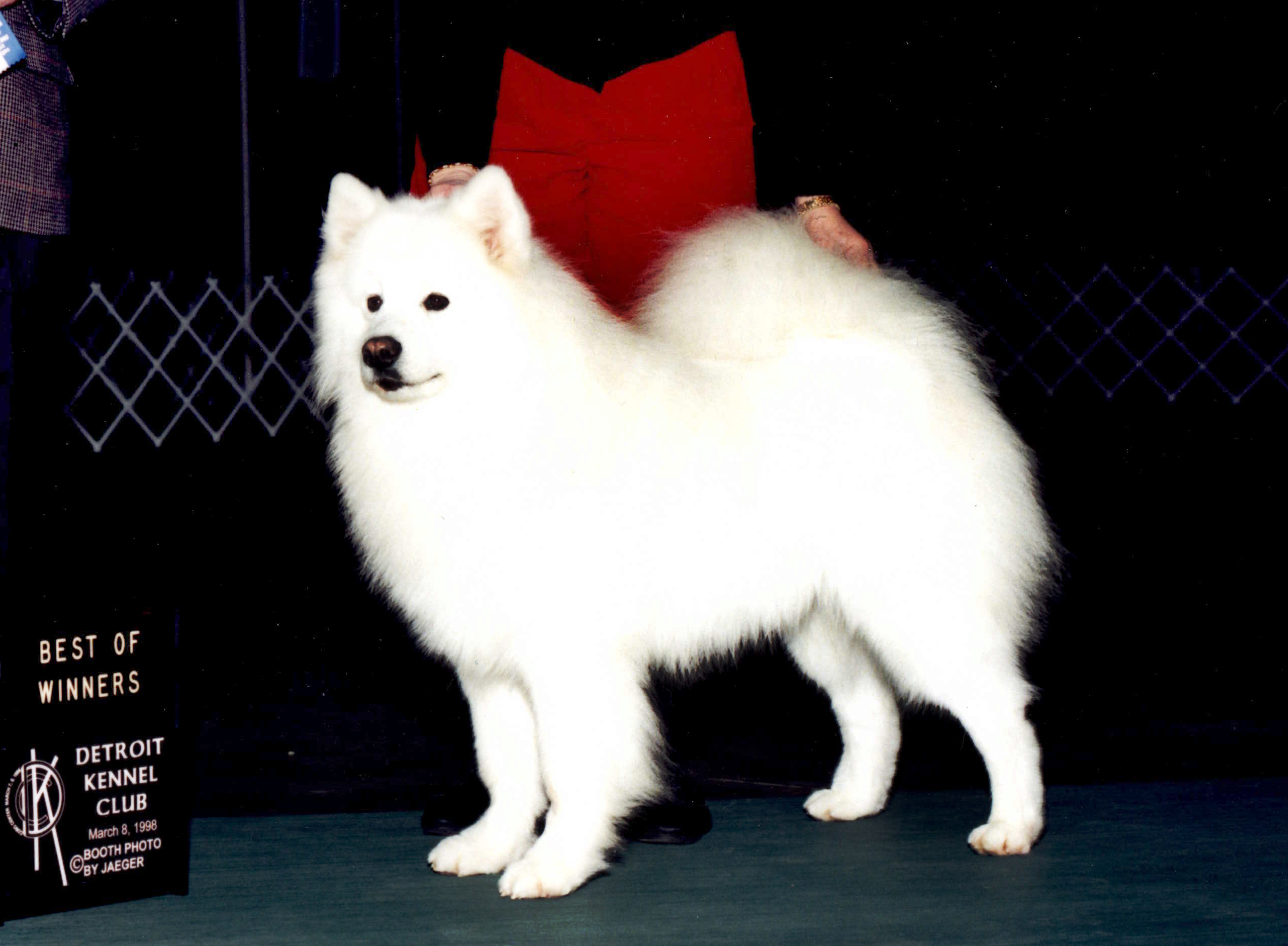 Ch. Hobby Horse Nordic Starbuck