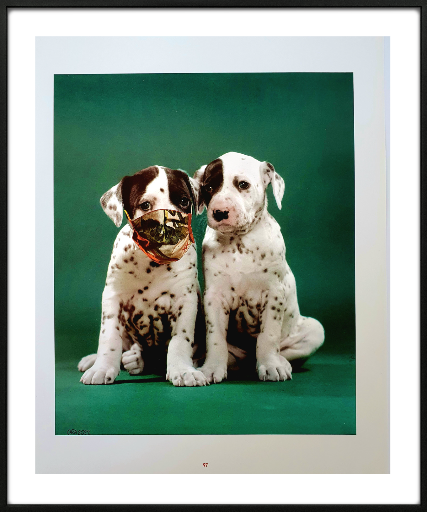 Dog Exhibition 4 collage