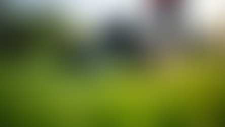 Breaking Down Professional Lawn Care Cost Analysis