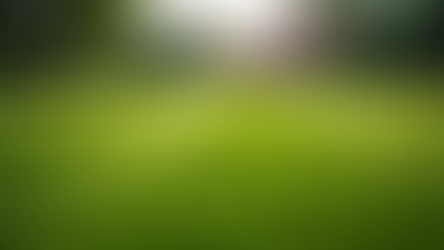 Northville Grassroots Lawn Experts: Your Go-To Lawn Gurus