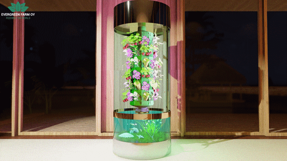 Fishtank GIF 1.gif