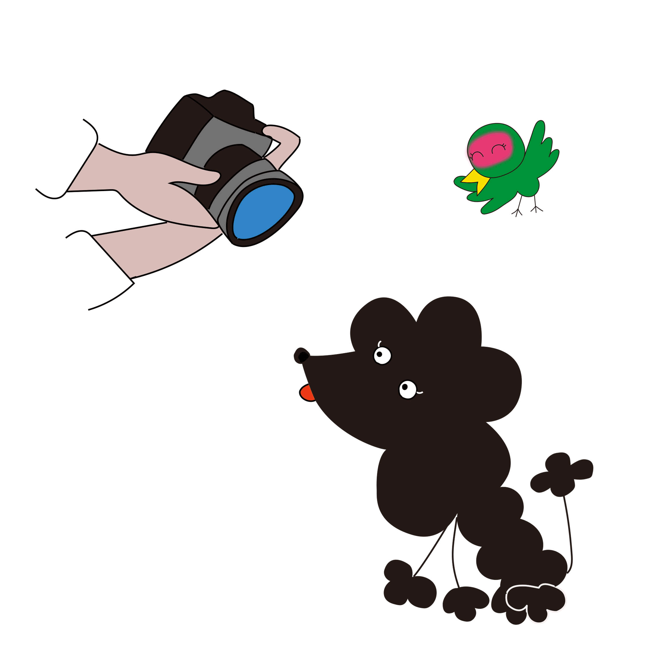 newペット.gif