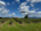 1A2EDD7B-6877-4F36-8D2B-887C8BEA79B1_1_105_c.jpeg