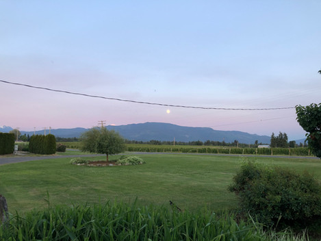 IMG_3054.jpeg