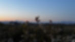 52B175FA-9531-4173-9245-FE54B692D688_1_201_a.jpeg