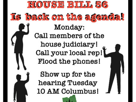 *** CALL TO ACTION ***