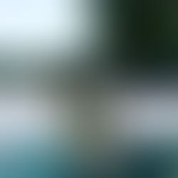 La résistance est à la portée de tous