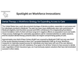 Spotlight on Workforce Innovations