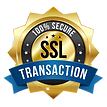 SSL protection of site data and transitions