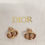 Miniaturbild: DIOR Logo und goldene Ohrringe; Nahaufnahme auf weißem Stoff Hintergrund.
