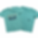 You Are Enough (seafoam) T-shirt