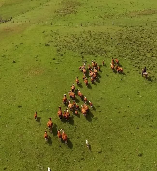 creBio ultima version.jpg