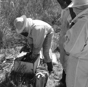Investigación primaria y trabajo colectivo