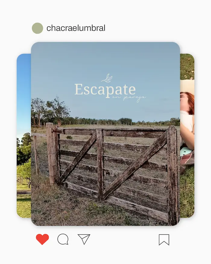 Ejemplo de anuncios que consiguieron resultados de ROAS de 15 en Chacra El Umbral a traves de campañas publicitarias