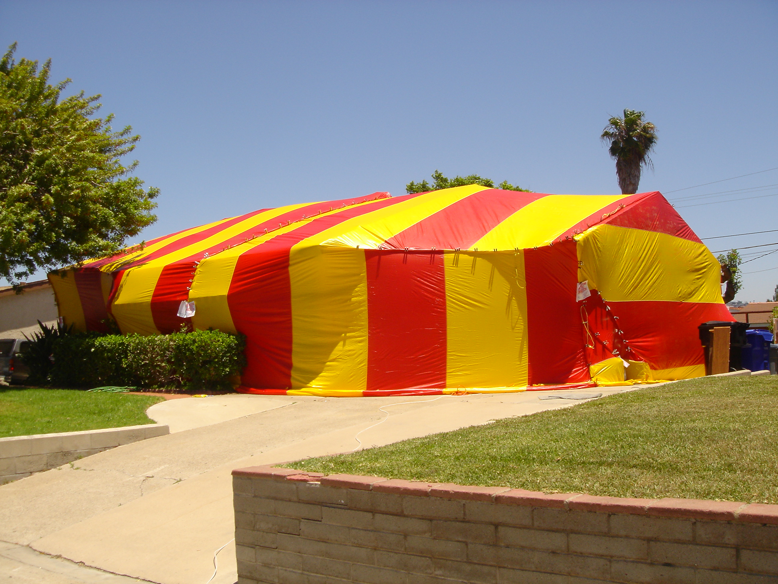 Termite Fumigation Treatments San Diego