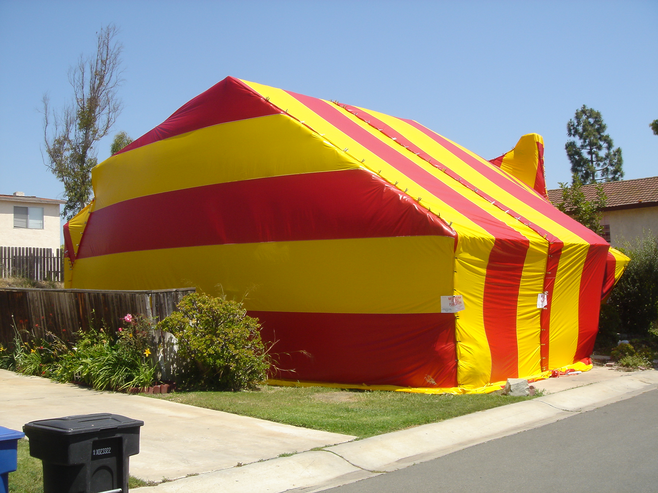 Termite Fumigation Treatments San Diego