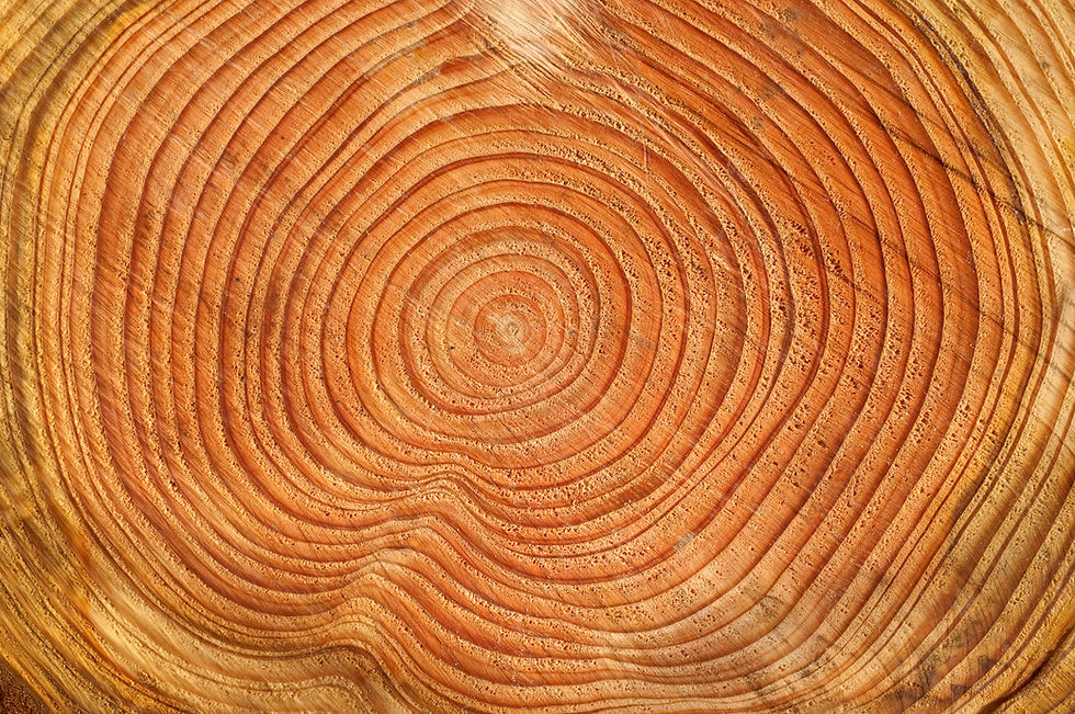 AdobeStock_103084745.jpeg