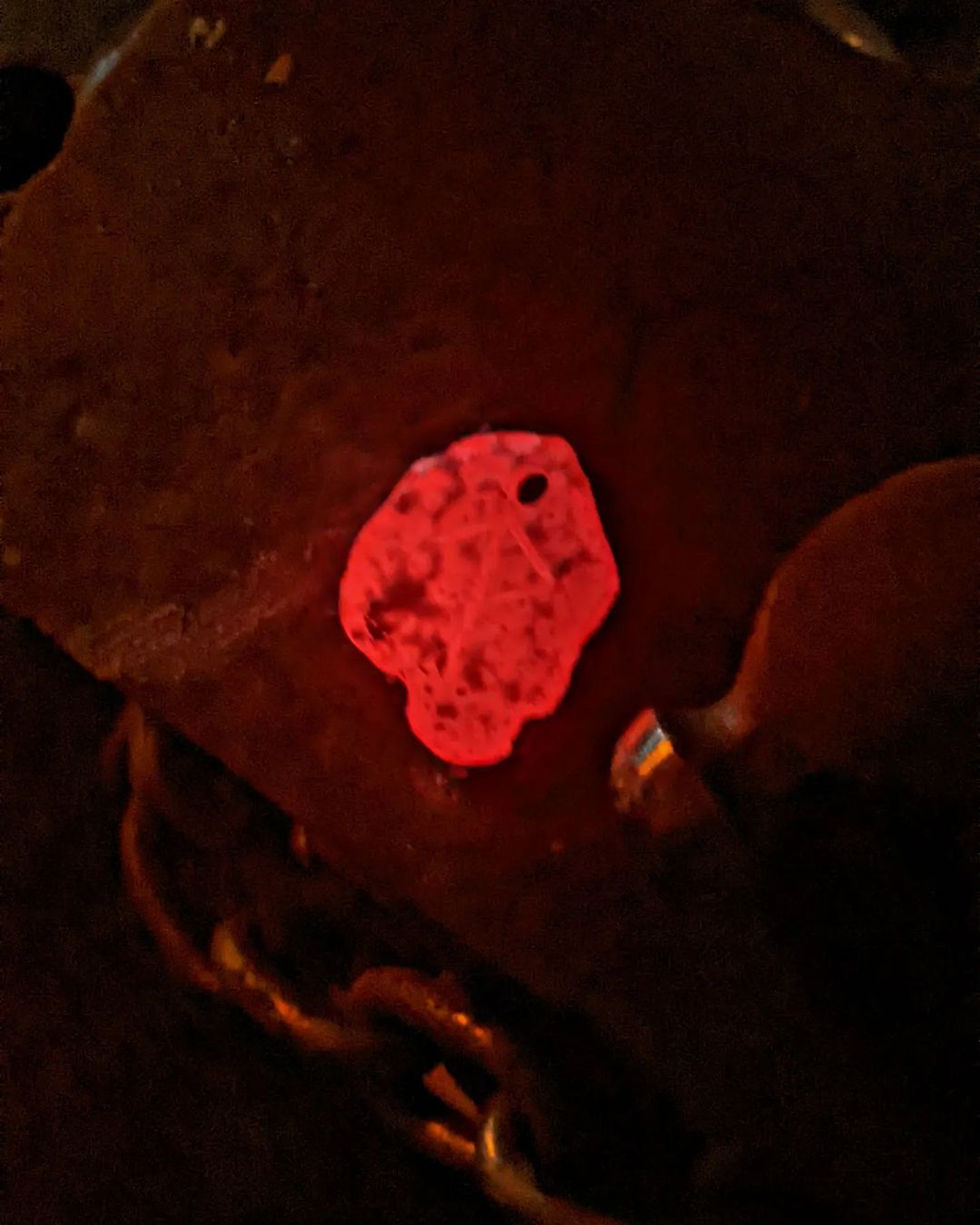 Miniatura: Bind Rune