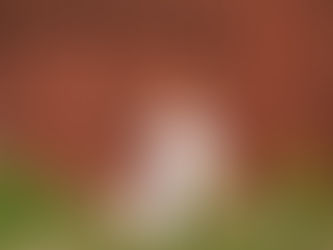 Nu är du här... Ljuset.