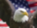 America_edited.jpg