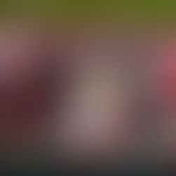 JND podium on Toyota debut