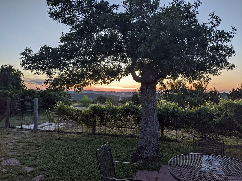 Sunrise at the Grey House