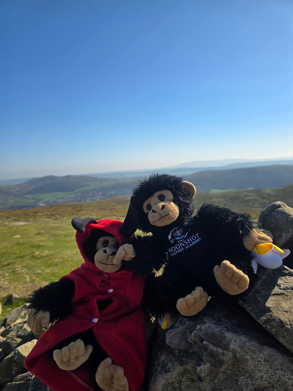 Making the Invisible Visible: Creating a Life You Love