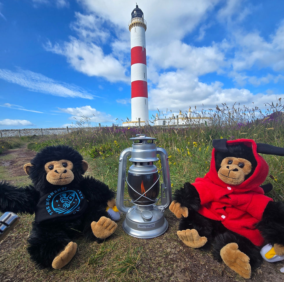 Pillar 2: ALIGN At Tarbat Ness Lighthouse: Discovering Strength in the Shadow
