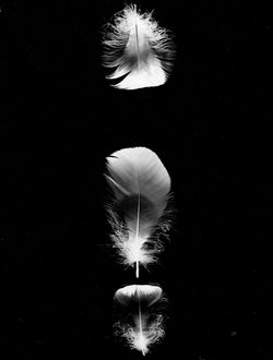 MaxHuber_photographica_mainimage