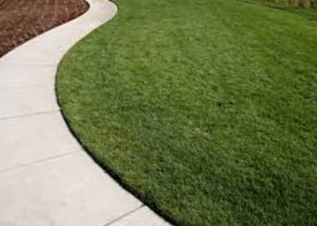 Lay a garden path